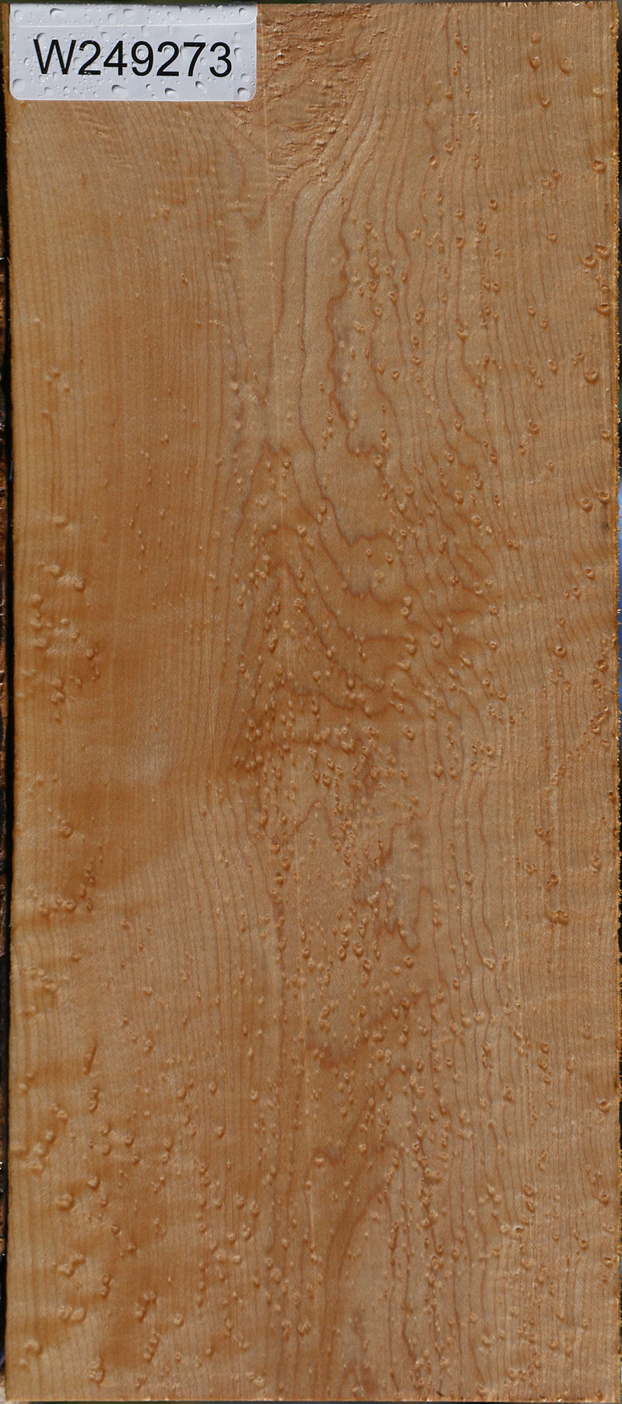 Extra Fancy Birdseye Maple Lumber