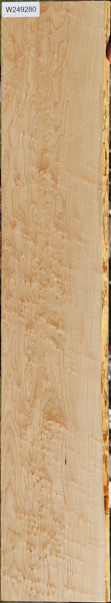 Figured Birdseye Maple Live Edge Lumber