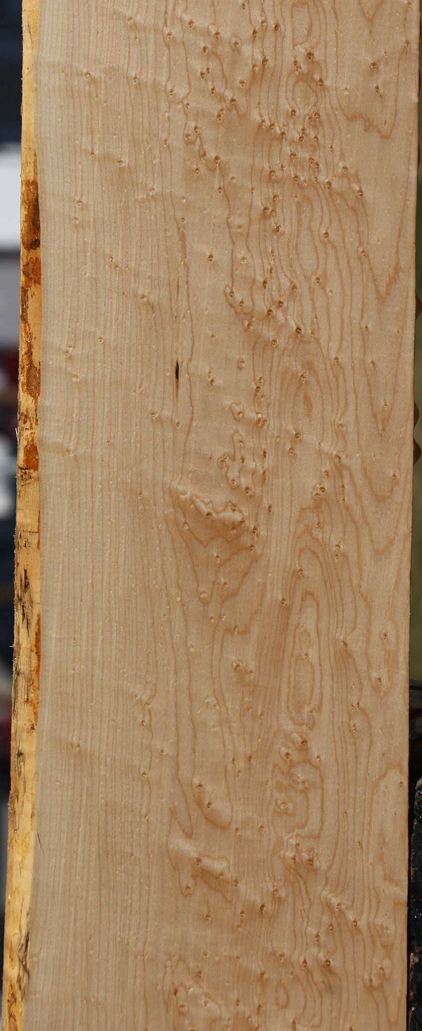 Figured Birdseye Maple Live Edge Lumber