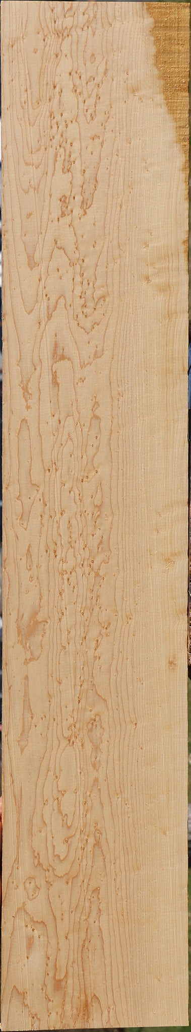 Figured Birdseye Maple Live Edge Lumber
