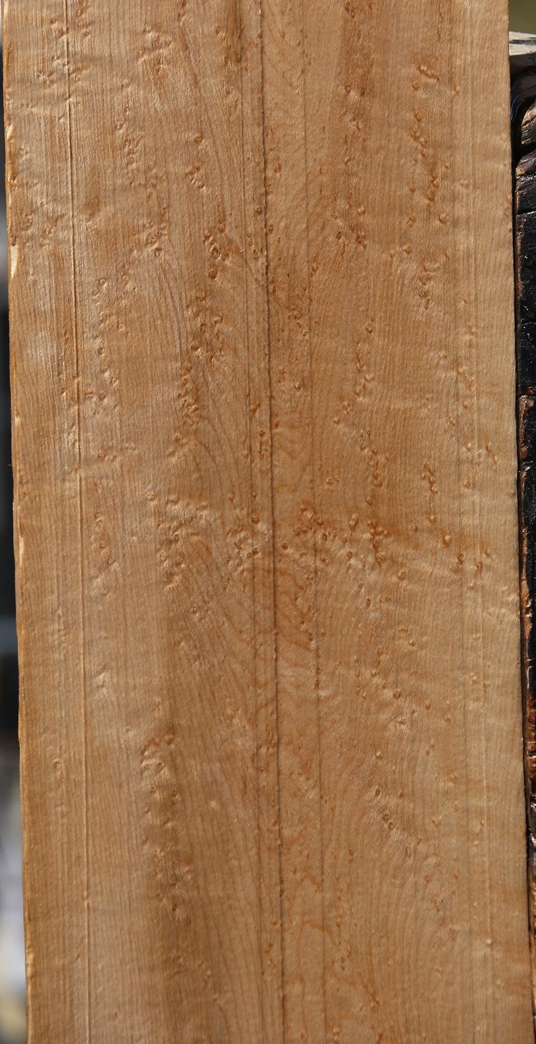 Extra Fancy Birdseye Maple Lumber