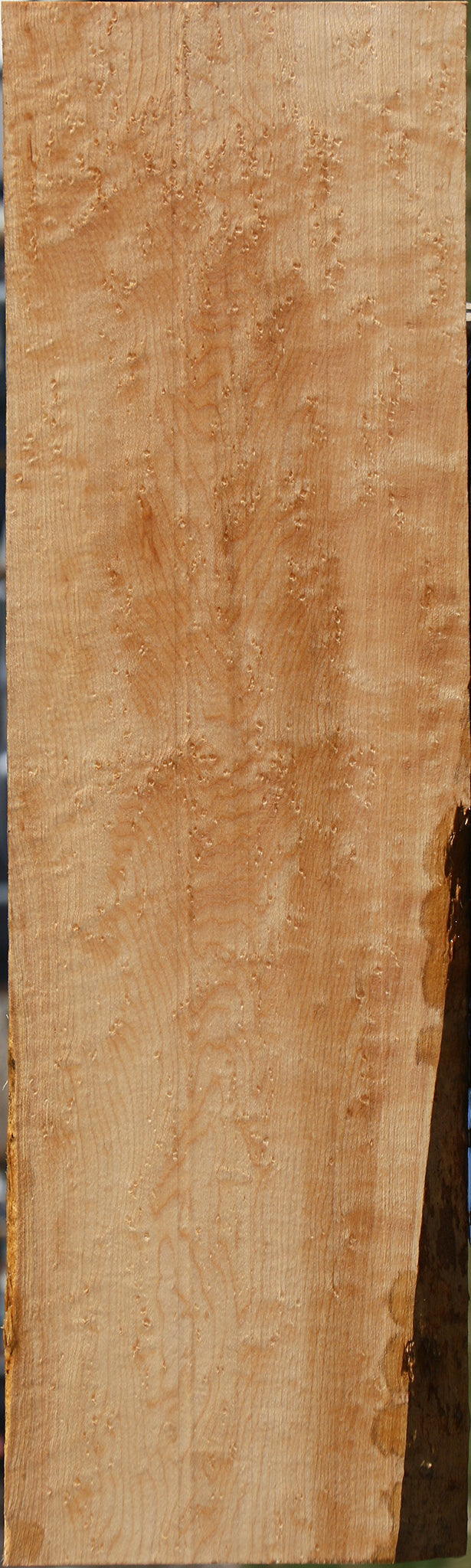 Extra Fancy Birdseye Maple Lumber
