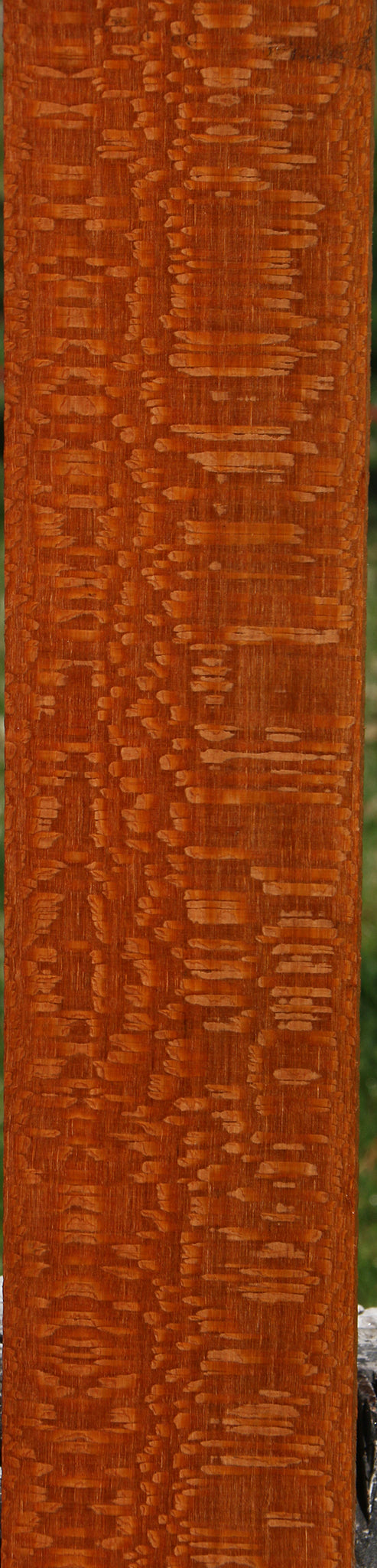 Extra Fancy Leopardwood Lumber
