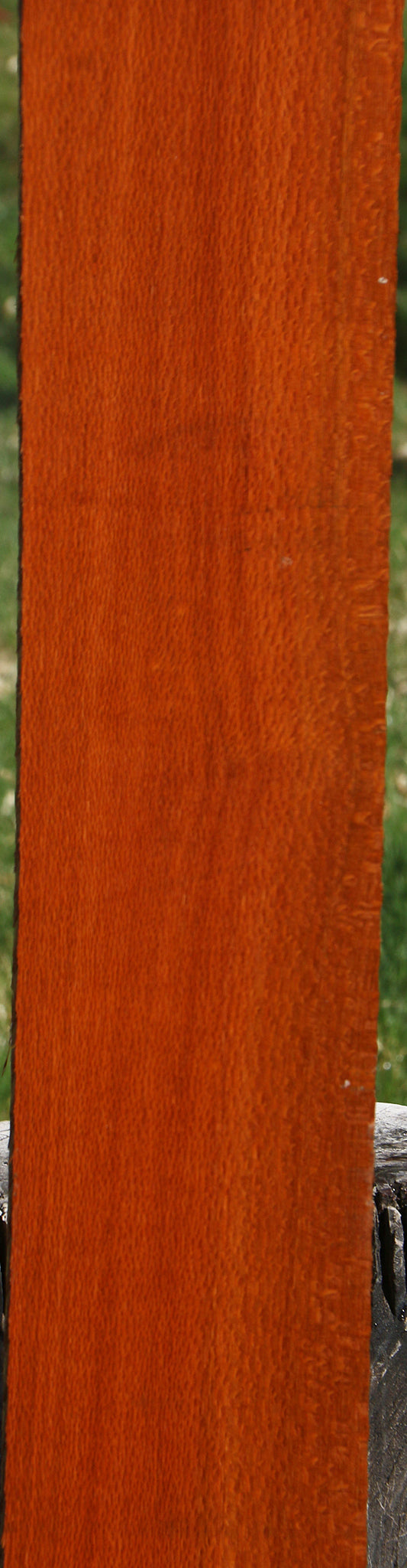 Figured Leopardwood Lumber
