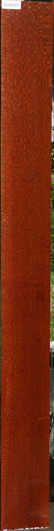 Figured Leopardwood Lumber