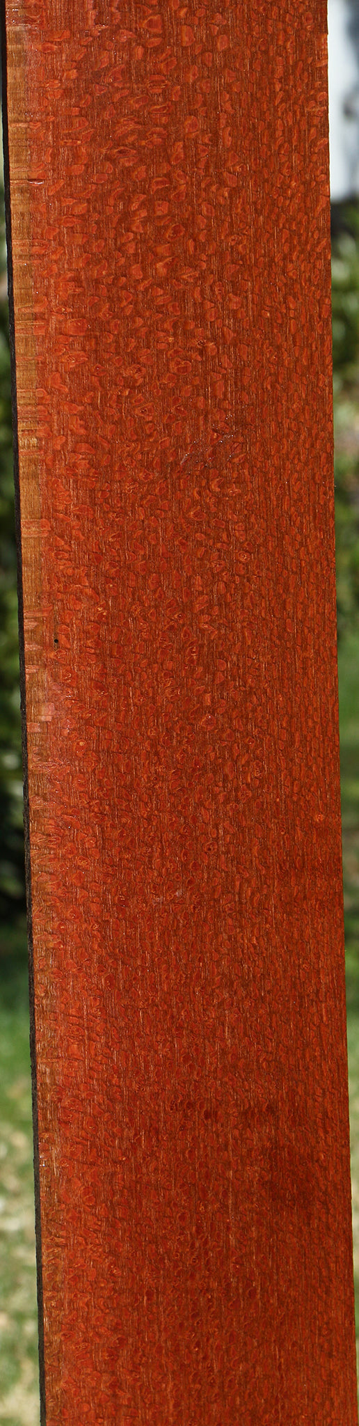 Figured Leopardwood Lumber