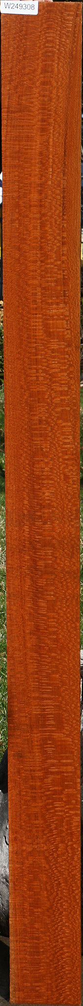 Extra Fancy Leopardwood Lumber