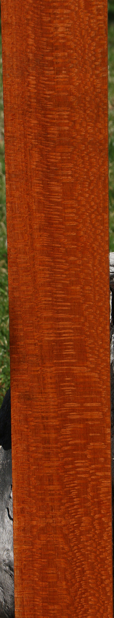 Extra Fancy Leopardwood Lumber