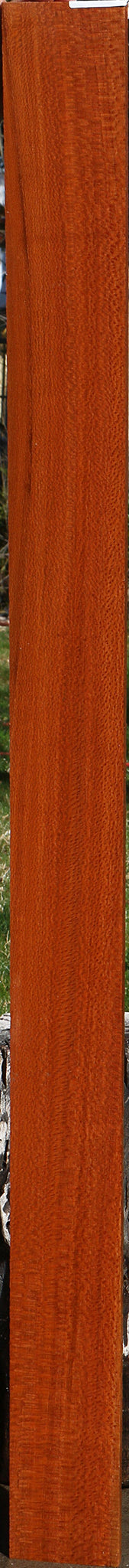 Extra Fancy Leopardwood Lumber