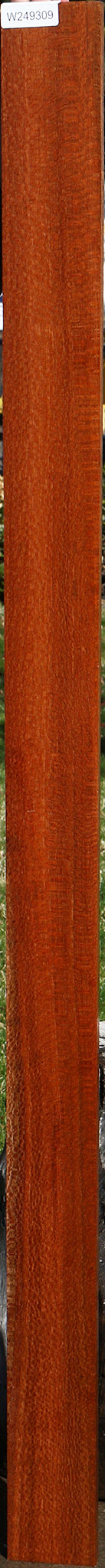 Figured Leopardwood Lumber
