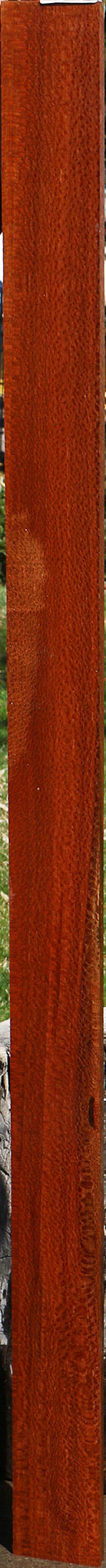 Figured Leopardwood Lumber