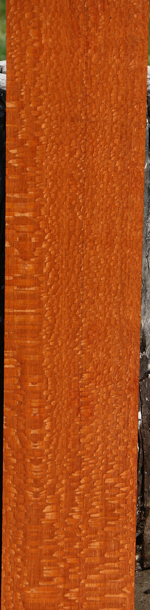 Figured Leopardwood Lumber