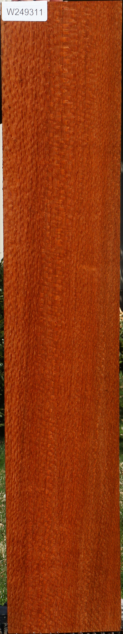 Figured Leopardwood Lumber