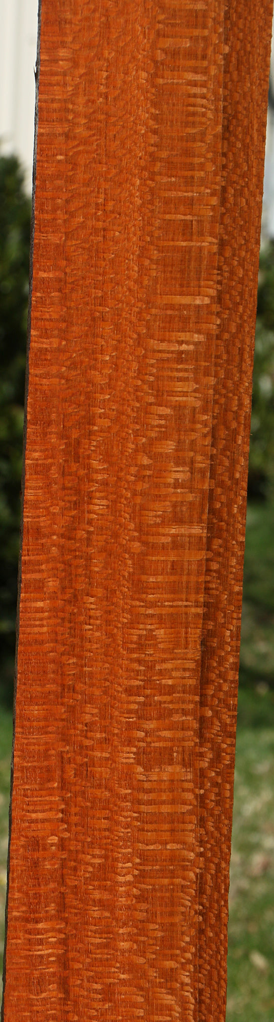 Figured Leopardwood Lumber
