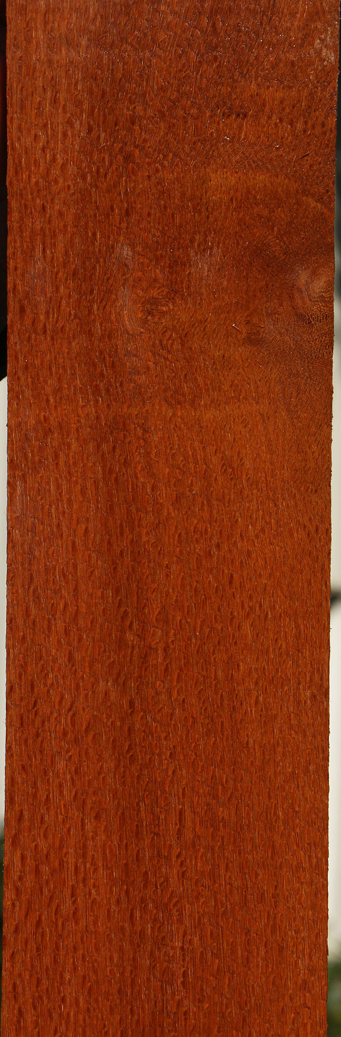 Figured Leopardwood Lumber