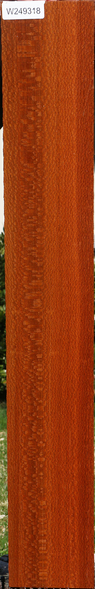 Extra Fancy Leopardwood Lumber