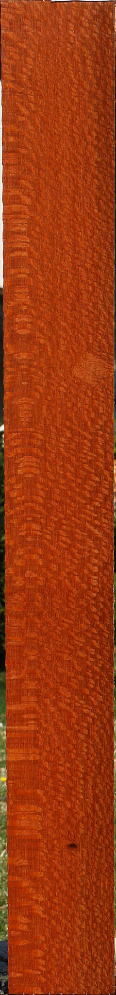 Extra Fancy Leopardwood Lumber