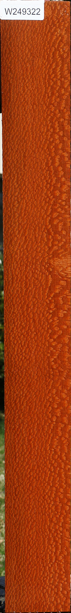 Extra Fancy Leopardwood Lumber