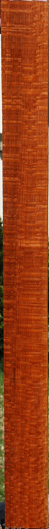 Extra Fancy Quartersawn Leopardwood Lumber