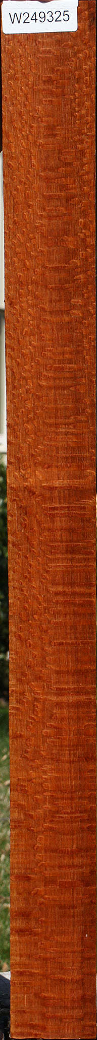 Extra Fancy Quartersawn Leopardwood Lumber