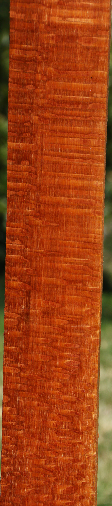 Extra Fancy Quartersawn Leopardwood Lumber