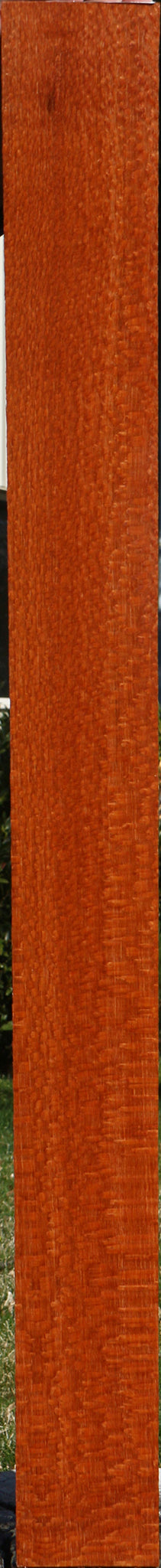 Extra Fancy Leopardwood Lumber
