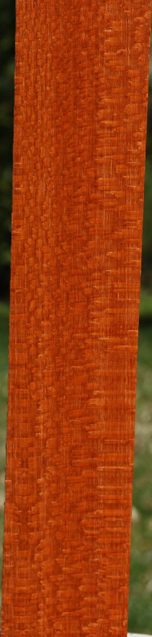 Extra Fancy Leopardwood Lumber