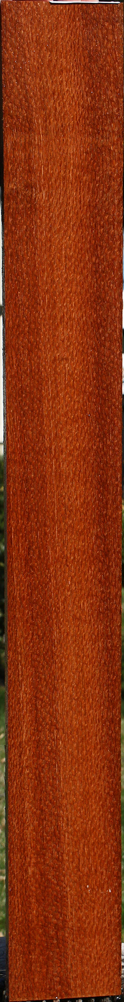 Figured Leopardwood Lumber