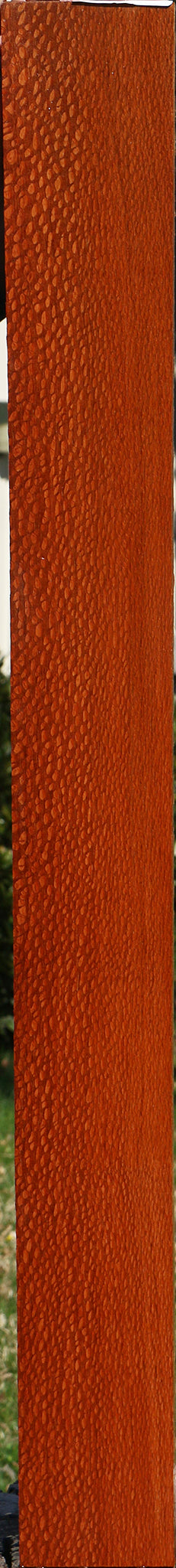 Figured Leopardwood Lumber