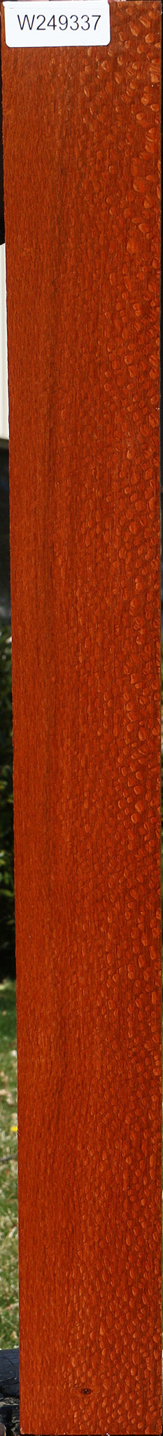 Figured Leopardwood Lumber