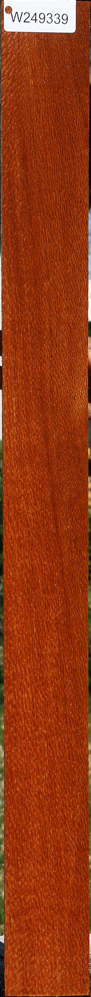 Figured Leopardwood Lumber
