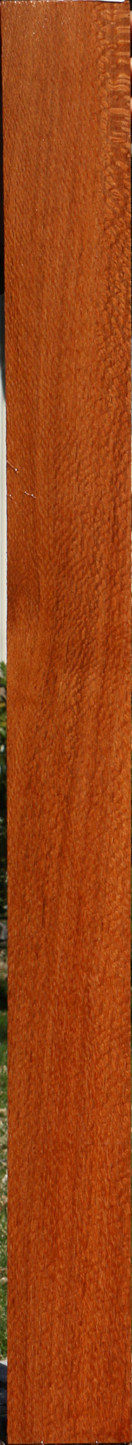 Figured Leopardwood Lumber