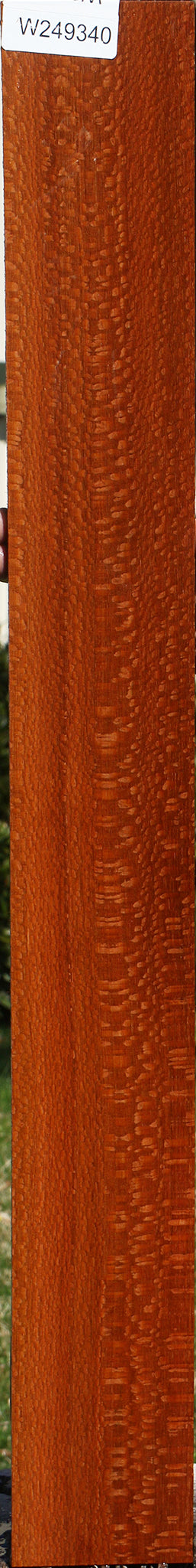 Figured Leopardwood Lumber
