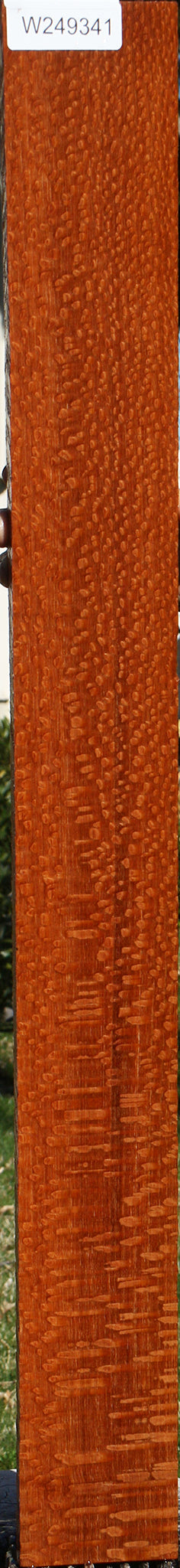Extra Fancy Quartersawn Leopardwood Lumber