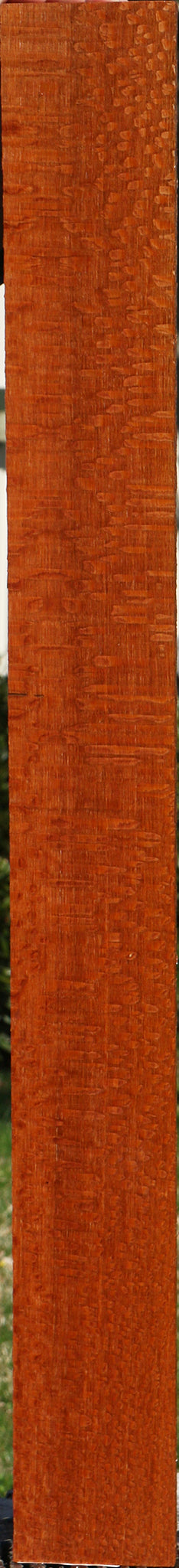 Extra Fancy Quartersawn Leopardwood Lumber