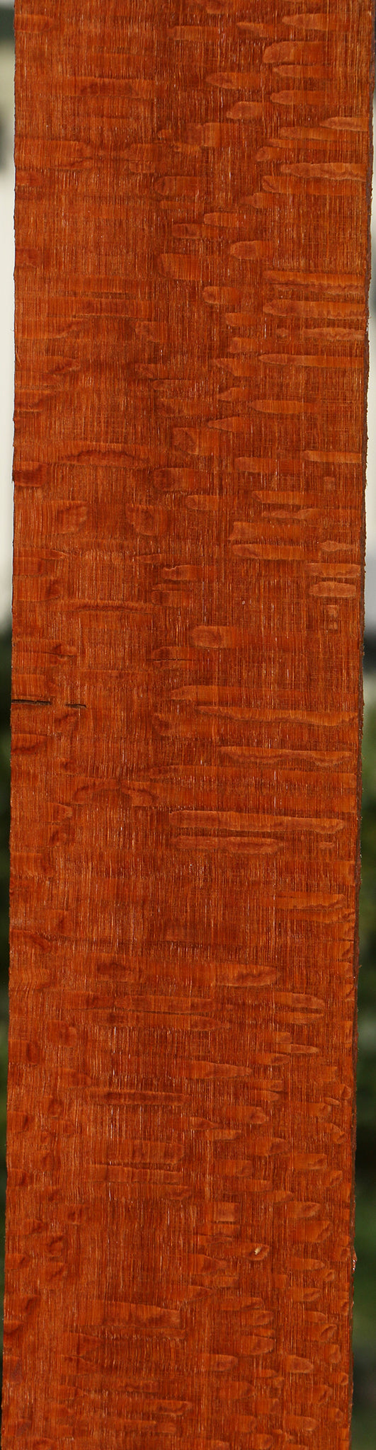 Extra Fancy Quartersawn Leopardwood Lumber