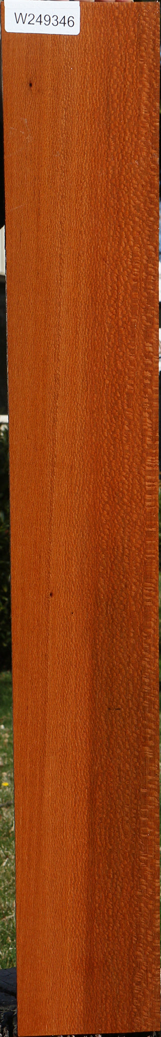 Leopardwood Lumber