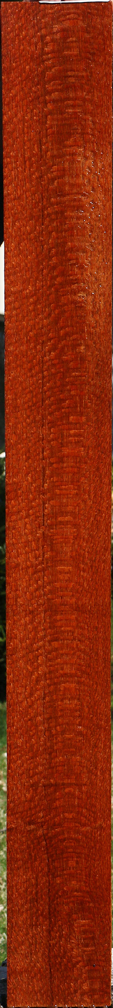 Extra Fancy Quartersawn Leopardwood Lumber