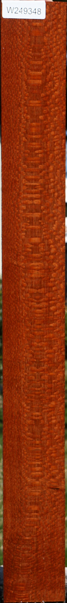 Extra Fancy Quartersawn Leopardwood Lumber