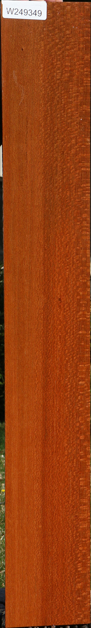 Leopardwood Lumber