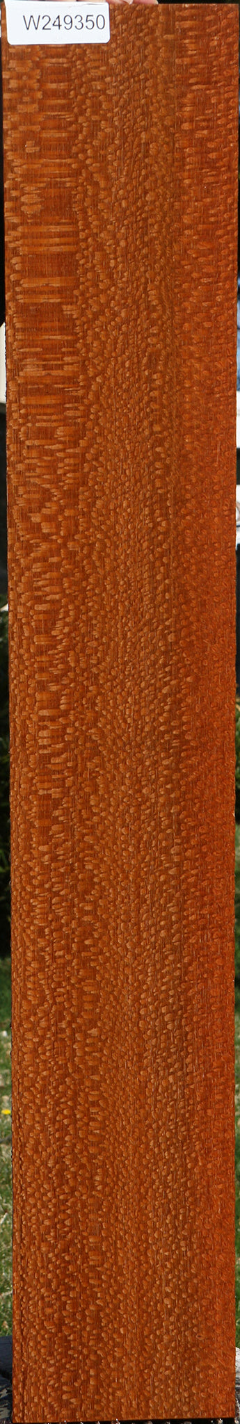 Extra Fancy Quartersawn Leopardwood Lumber