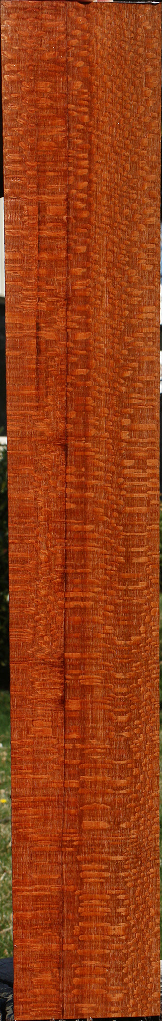Extra Fancy Leopardwood Lumber