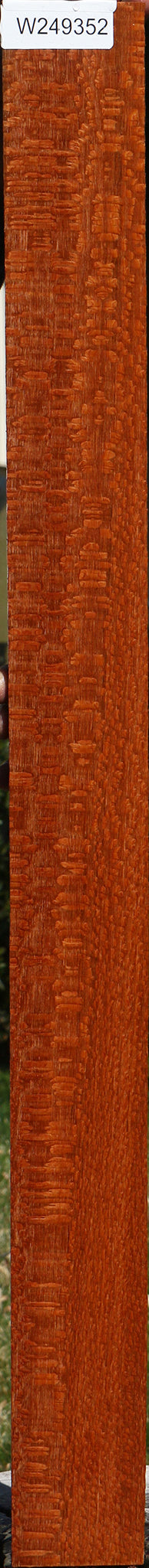 Extra Fancy Leopardwood Lumber