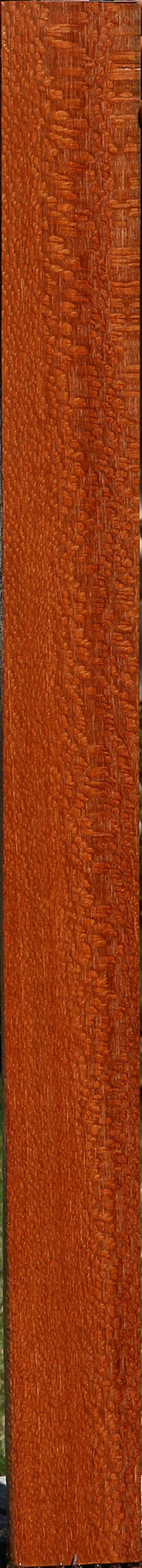 Extra Fancy Leopardwood Lumber