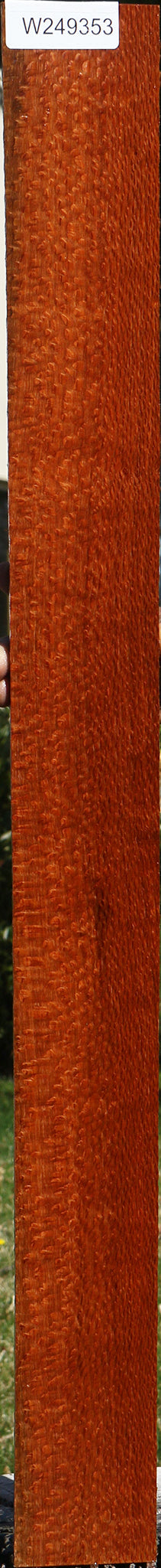 Extra Fancy Leopardwood Lumber