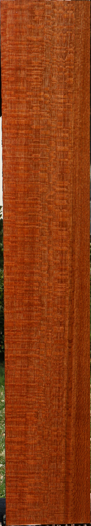 Extra Fancy Quartersawn Leopardwood Instrument Lumber