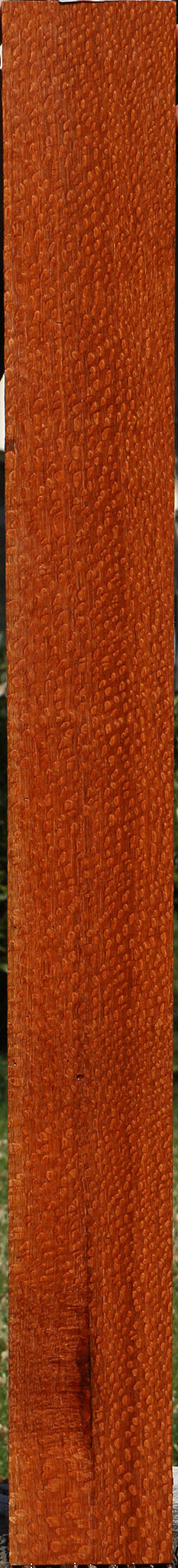 Extra Fancy Leopardwood Lumber