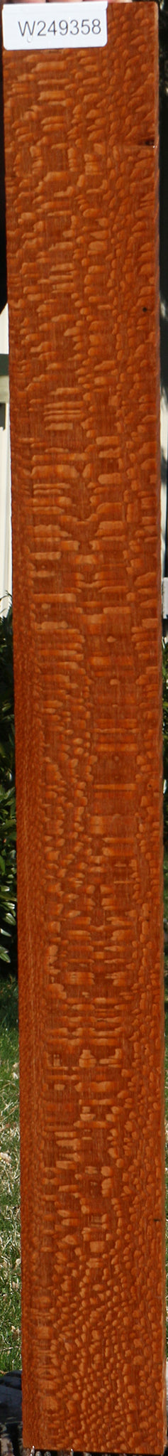Extra Fancy Leopardwood Lumber