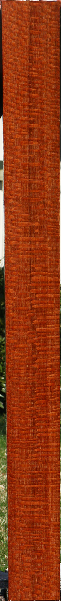 Extra Fancy Quartersawn Leopardwood Lumber