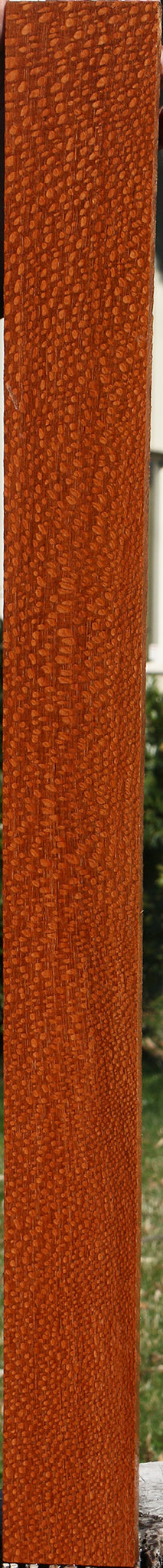 Extra Fancy Quartersawn Leopardwood Lumber